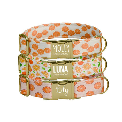 Personalized Orange Dog Collar with Name Engraved Cute & Soft Citrus Adjustable Collar Leash Set Unique Fun Fruit Print Dog Tag Gift (OG-69)