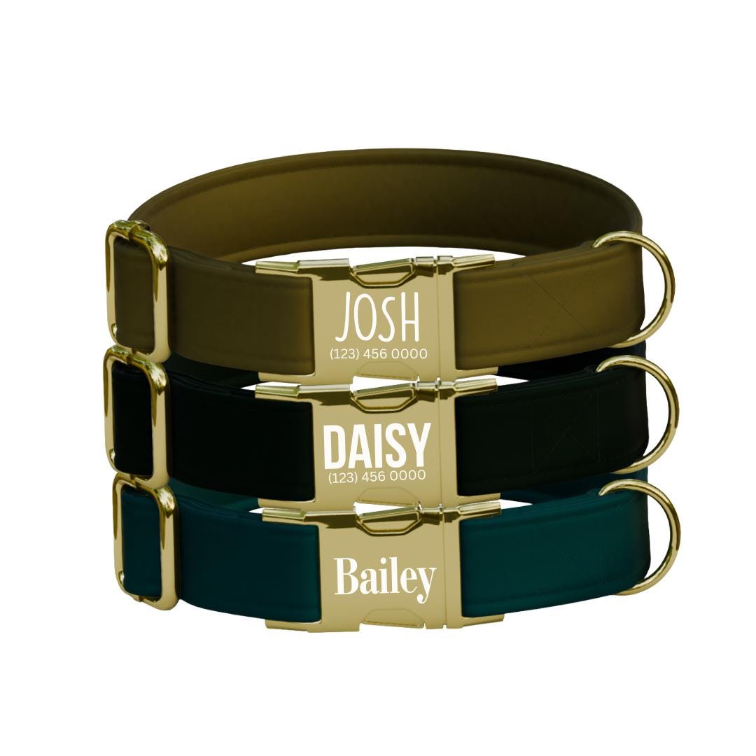 Personalized Multiple Luxe Velvet Dog Collar with Name Engraved, Cute and Soft Adjustable Collar & Leash Set, Wedding Dog Tag Gift (OG-50)