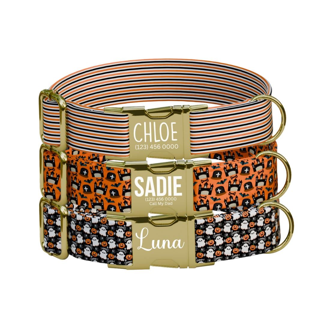 Personalized Halloween Dog Collar with Name Engraved, Cute and Soft Adjustable Fall Collar & Leash Set Black or Gold Buckle Dog Gift (OG-31)