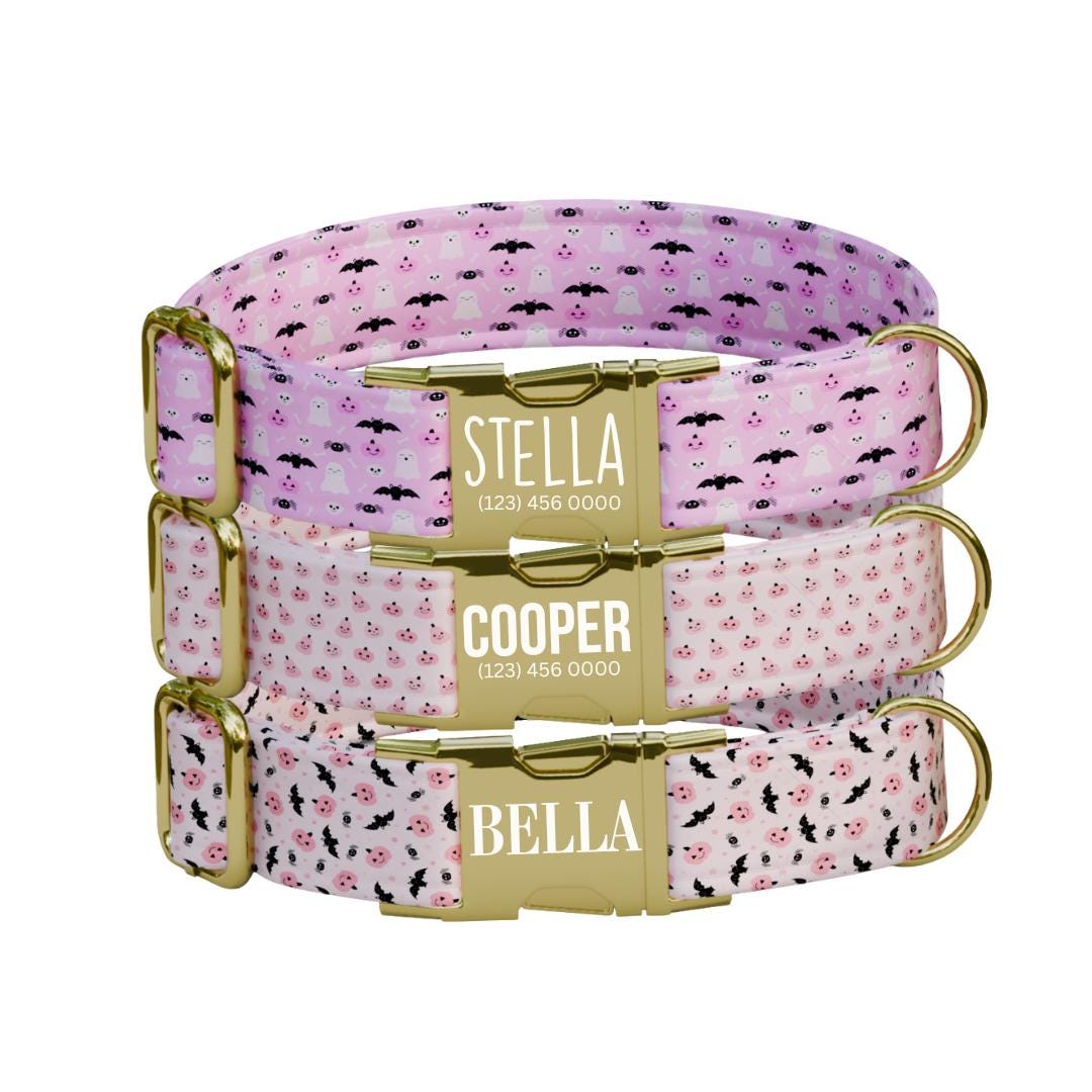 Personalized Halloween Dog Collar with Name Engraved, Cute and Soft Adjustable Pink Collar & Leash Set Black or Gold Buckle Dog Gift (OG-32)