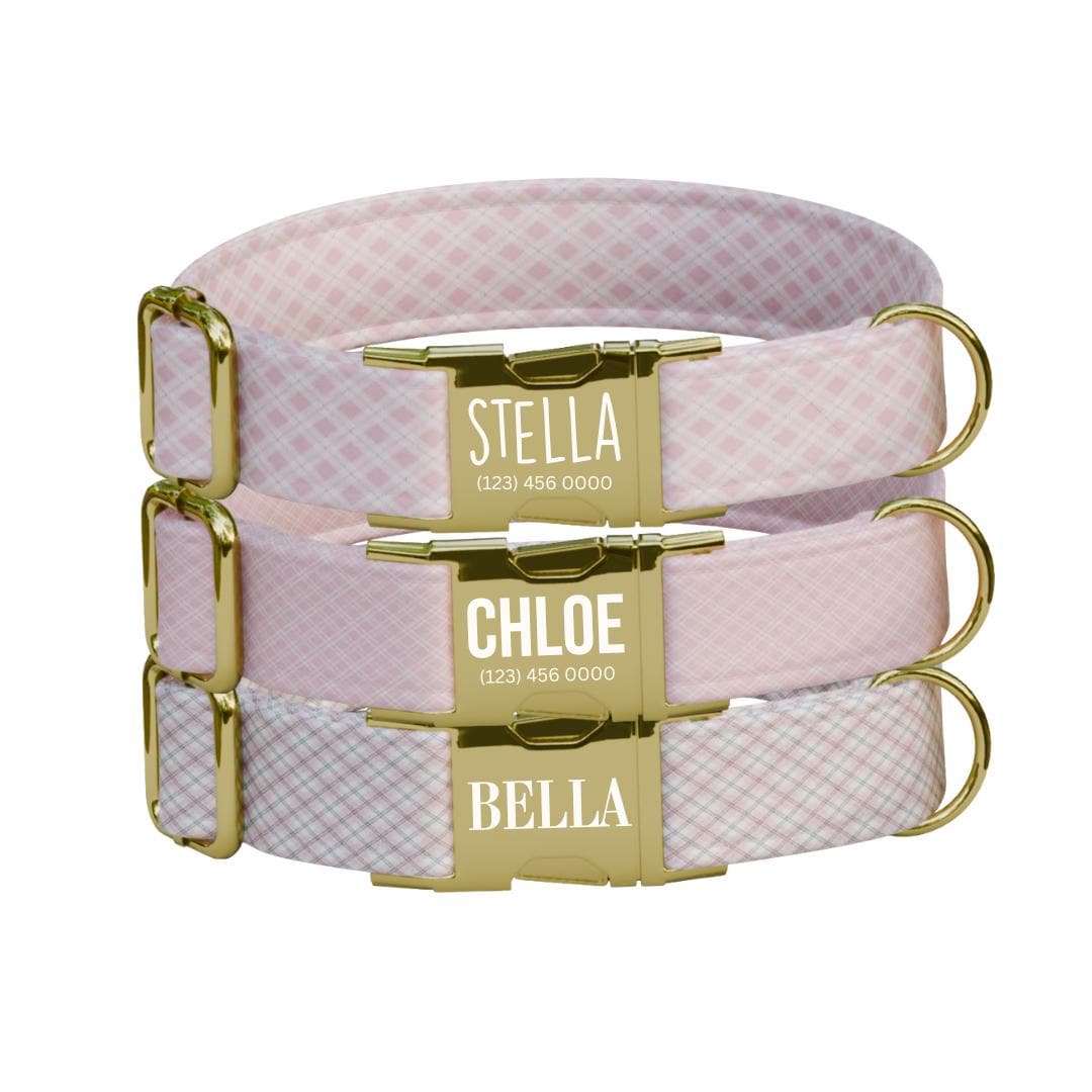 Personalized Pink Gingham Dog Collar with Name Engraved, Cute and Soft Adjustable Collar & Leash Set, Black or Gold Buckle Dog Gift (OG-24)