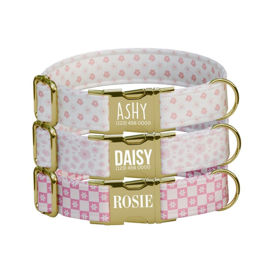 Personalized Pink Floral Dog Collar with Name Engraved, Cute and Soft Adjustable Collar & Leash Set, Black or Gold Buckle, Dog Gift (OG-02)