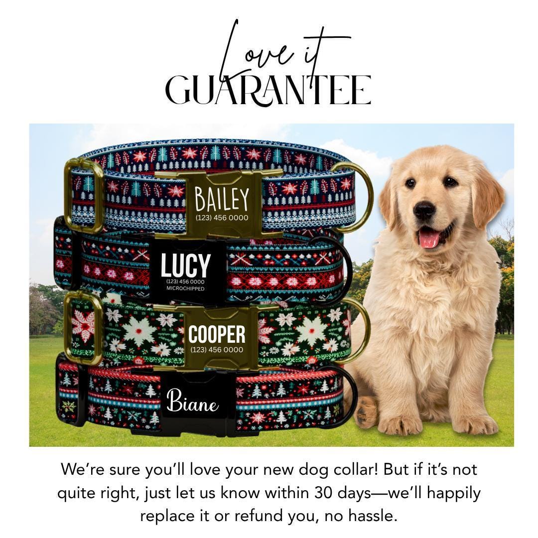 Personalized Ugly Christmas Dog Collar with Name Engraved Custom Name Tag Adjustable Collar & Leash Set Festive Flurries Dog Tag (OG-222)
