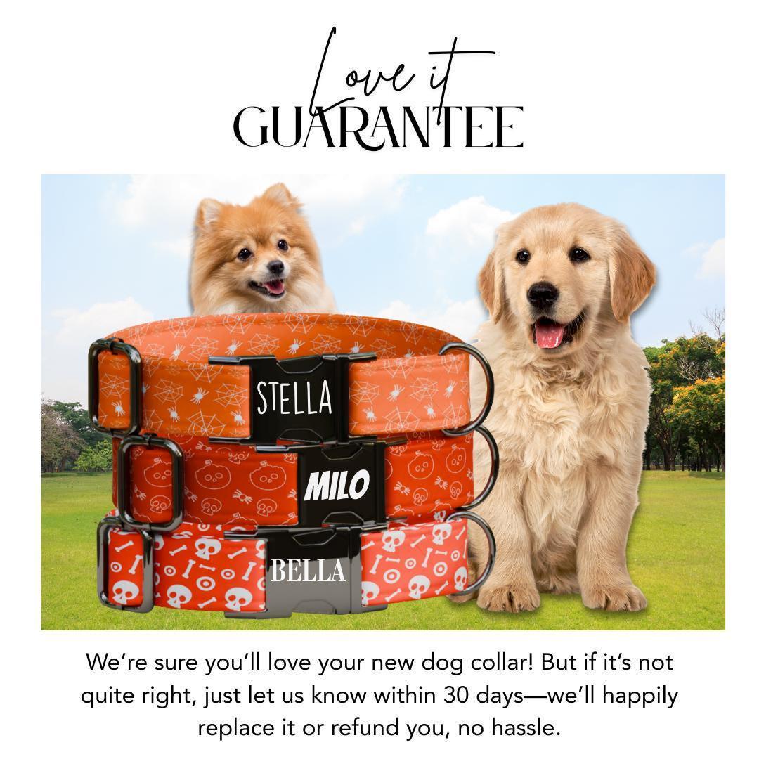 Personalized Spooky Vibes Halloween Dog Collar with Name Engraved Cute and Soft Adjustable Collar & Leash Set, Pet ID Tag Dog Gift (OG-139)