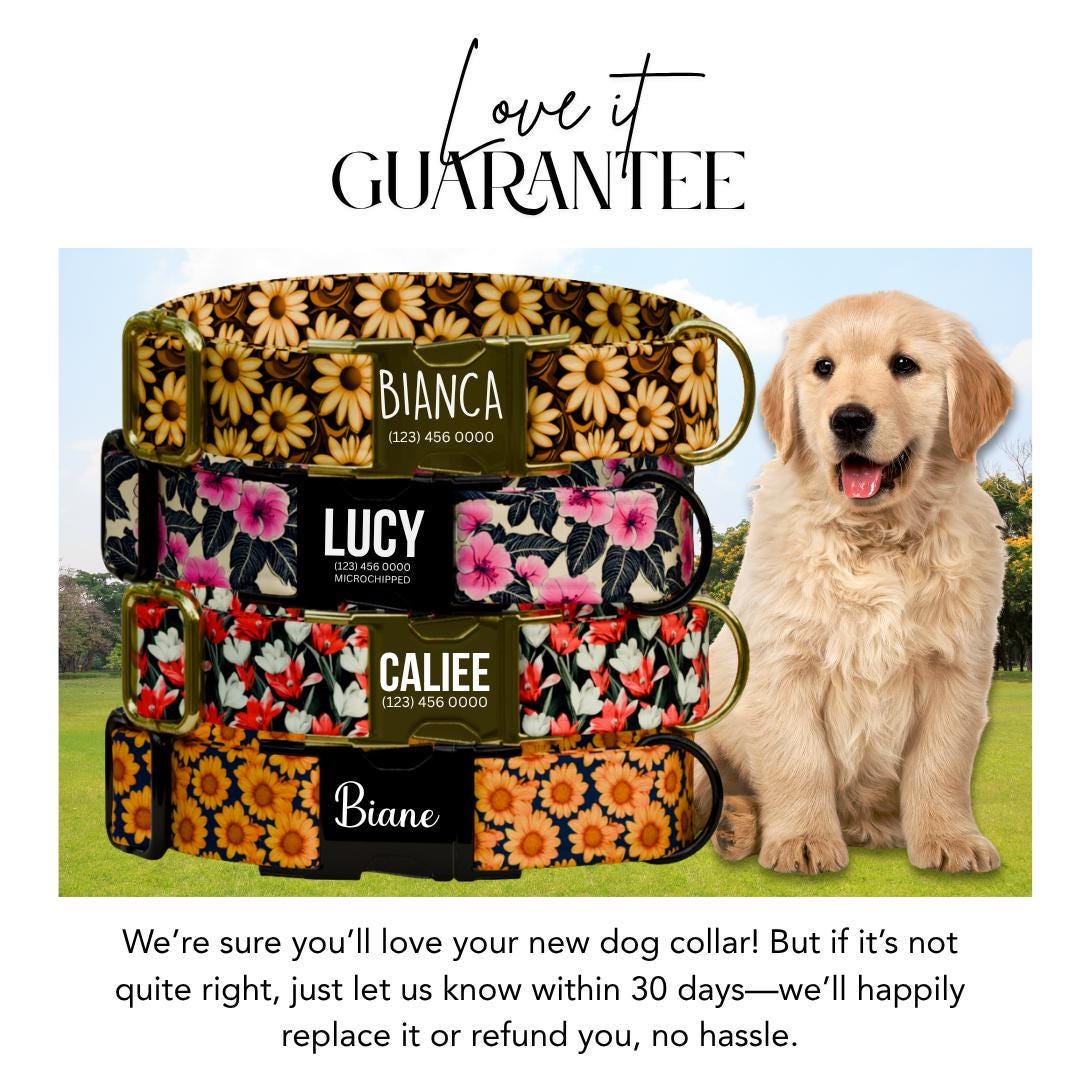 Personalized Floral Dog Collar for Girls with Name Engraved Cute Bright Flower Name ID Adjustable Collar & Leash Set Gift for Dog (OG-208)