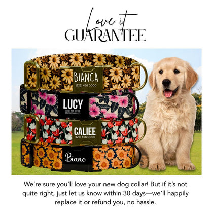 Personalized Floral Dog Collar for Girls with Name Engraved Cute Bright Flower Name ID Adjustable Collar & Leash Set Gift for Dog (OG-208)
