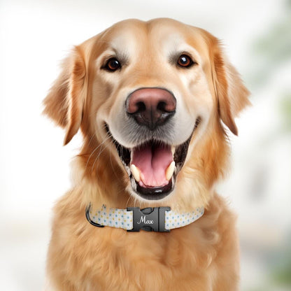 Personalized Starry Dog Collar with Name Engraved Custom Tag Collar for Pets Collar & Leash Set Star Dog Collar Gift for Dog Lovers (OG-158)