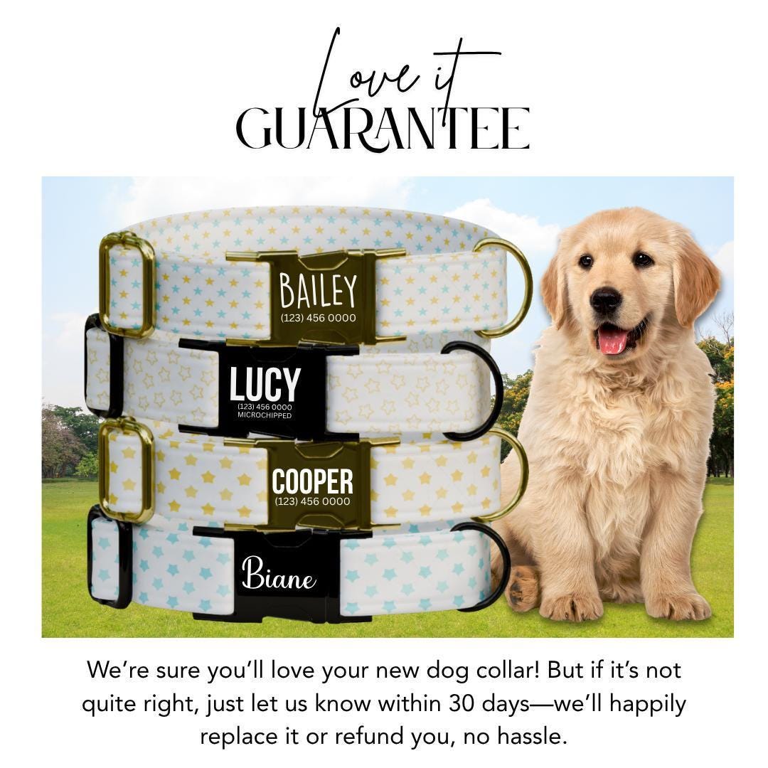 Personalized Starry Dog Collar with Name Engraved Custom Tag Collar for Pets Collar & Leash Set Star Dog Collar Gift for Dog Lovers (OG-158)