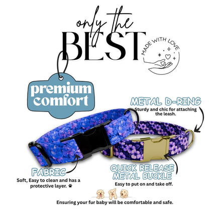 Personalized Purple Floral Dog Collar with Name Engraved Cute and Soft Floral Adjustable Collar & Leash Set Stylish Flower Dog Gift (OG-197)