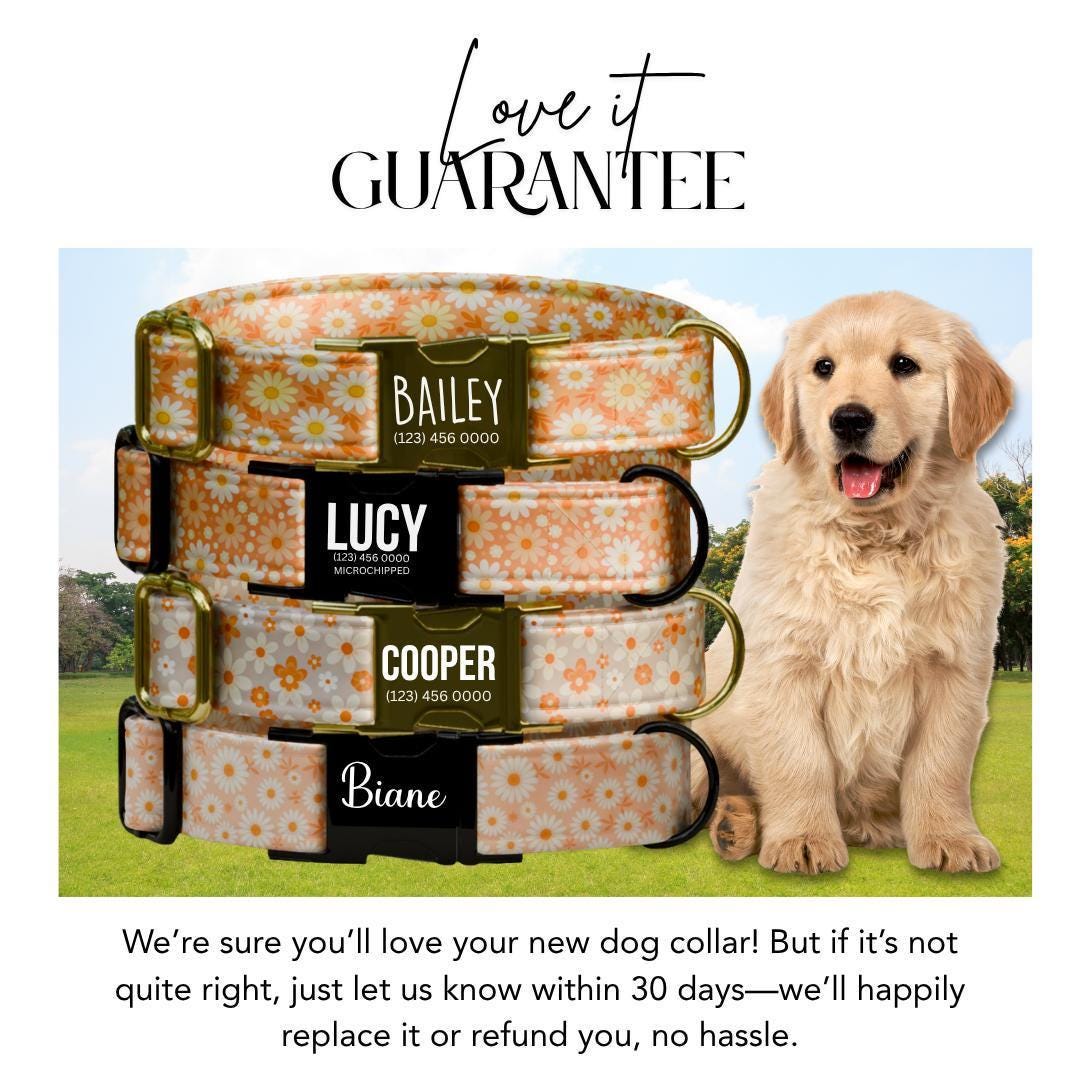 Personalized Orange Daisy Dog Collar for Girls with Name Engraved Cute Floral Name ID Adjustable Collar & Leash Set Gift for Dog (OG-262)