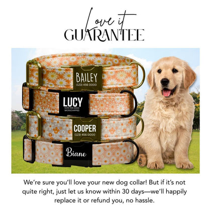 Personalized Orange Daisy Dog Collar for Girls with Name Engraved Cute Floral Name ID Adjustable Collar & Leash Set Gift for Dog (OG-262)