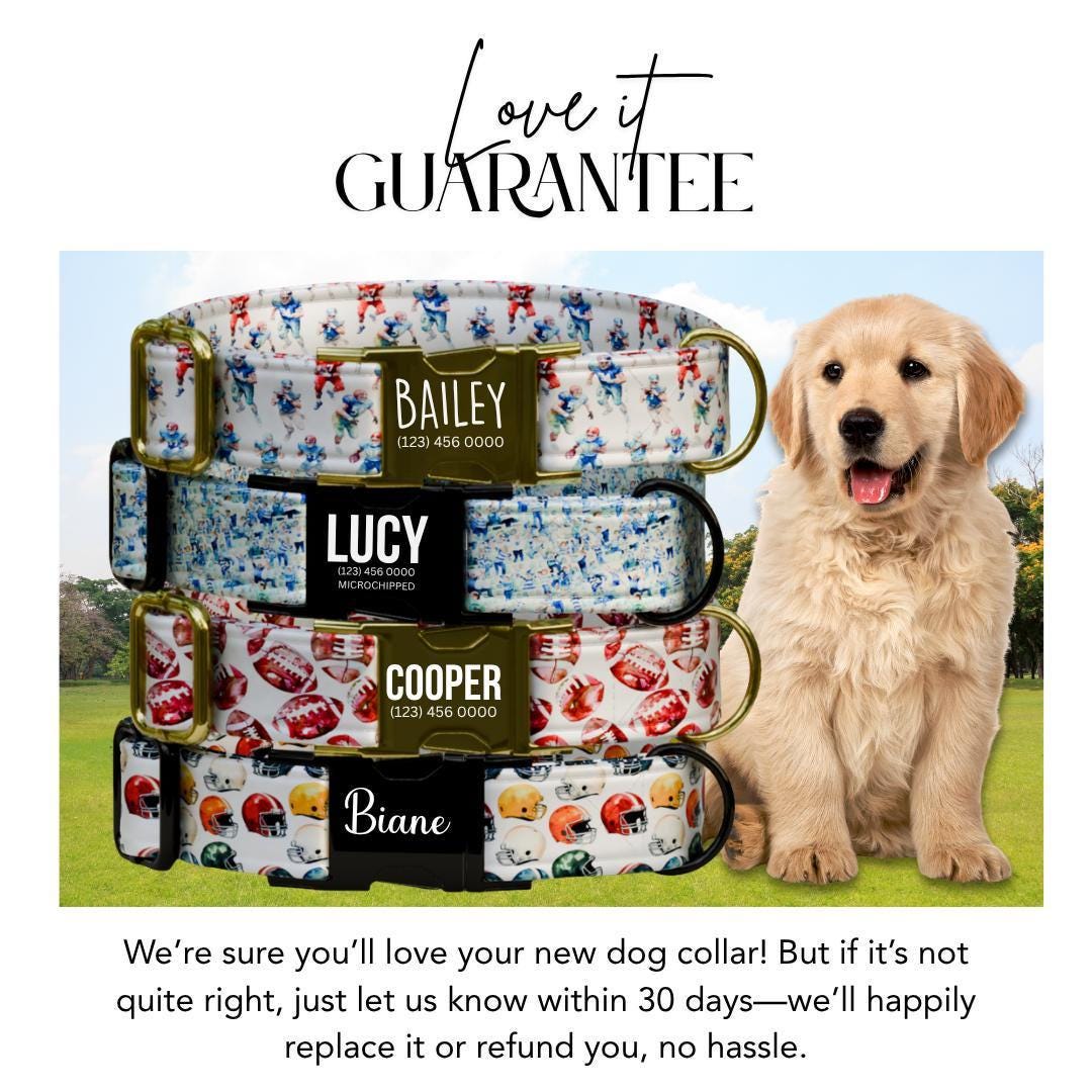 Personalized Football Dog Collar Custom Name Sports Dog Tag Collar with Metal Buckle & D-Ring Adjustable Dog Collar for Active Dogs (OG-269)