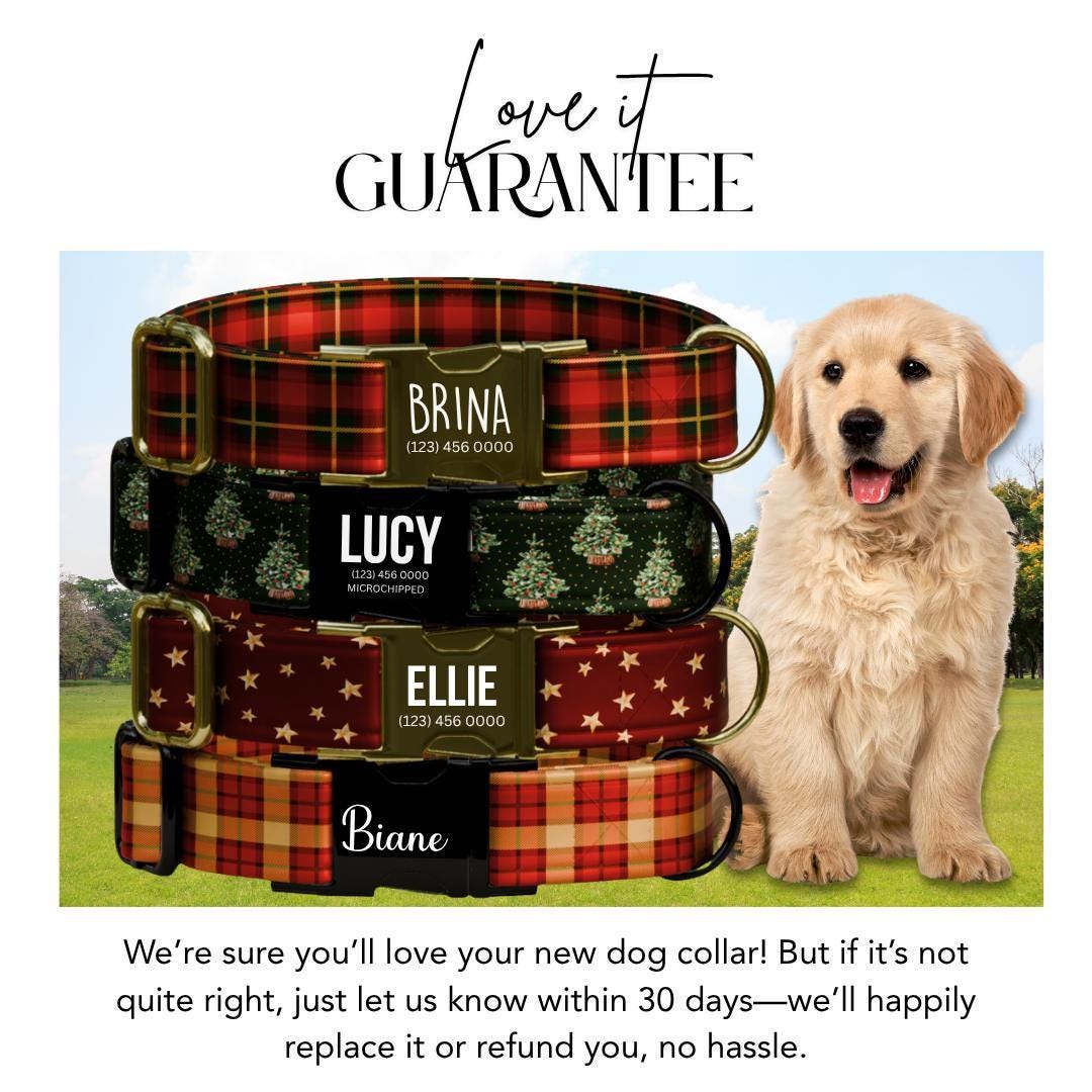 Personalized Christmas Dog Collar Custom Name Tag Holiday Plaid Dog Collar with Metal Buckle & Adjustable Fit Chrismast Dog ID Tag (OG-244)
