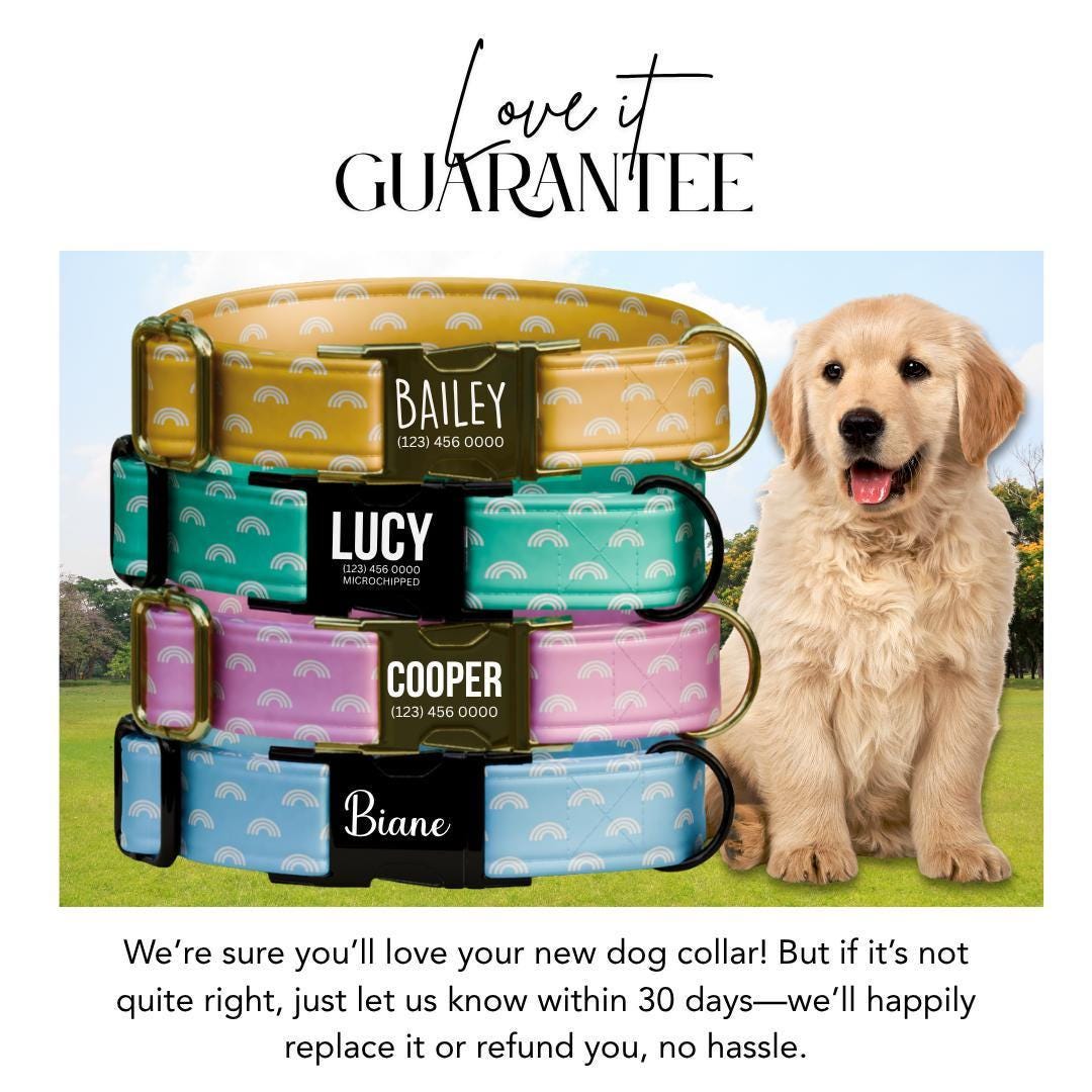Personalized Pastel Rainbow Dog Collar with Name Engraved Custom Name Dog Tag Durable Metal Buckle & D-Ring Cute Gift for Dogs (OG-265)
