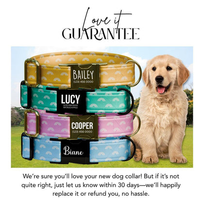 Personalized Pastel Rainbow Dog Collar with Name Engraved Custom Name Dog Tag Durable Metal Buckle & D-Ring Cute Gift for Dogs (OG-265)