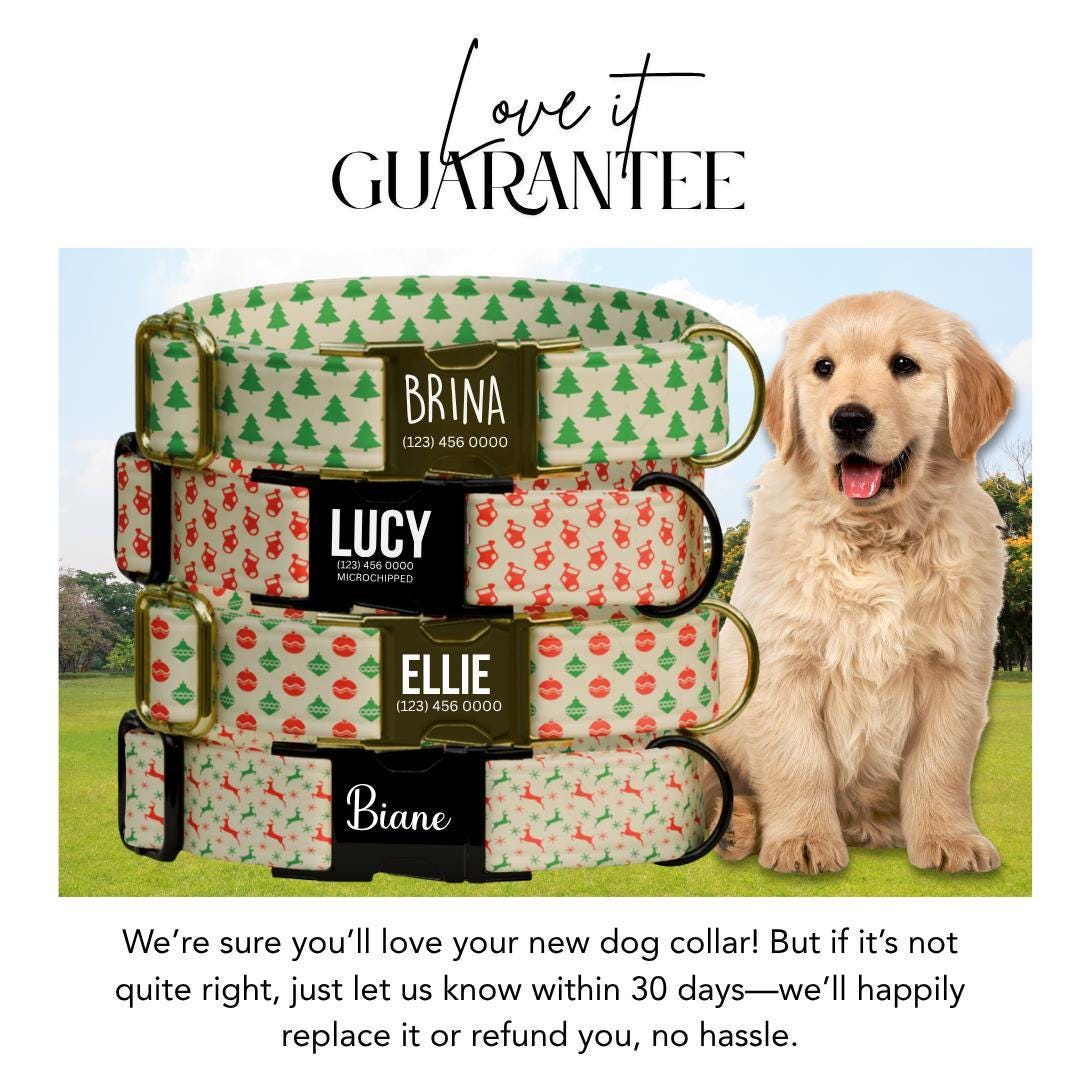 Personalized Christmas Dog Collar Custom Name Tag Festive Holiday Dog Collar with Metal Buckle & Adjustable Fit Chrismats Dog Tag (OG-237)