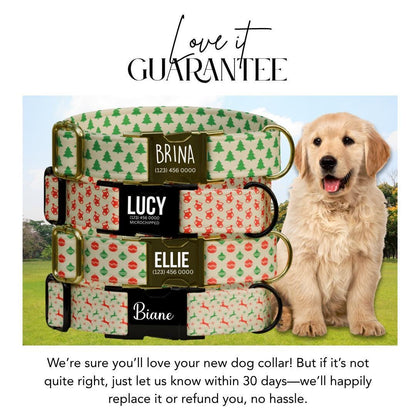 Personalized Christmas Dog Collar Custom Name Tag Festive Holiday Dog Collar with Metal Buckle & Adjustable Fit Chrismats Dog Tag (OG-237)