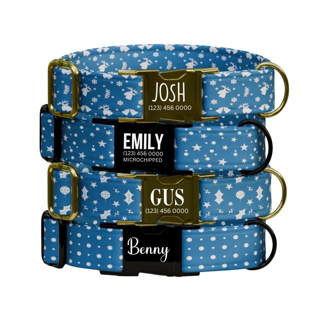 Personalized Blue Winter Dog Collar with Name Engraved Custom Name Tag Adjustable Collar & Leash Set Christmas Snow Dog Leash Gift (OG-226)