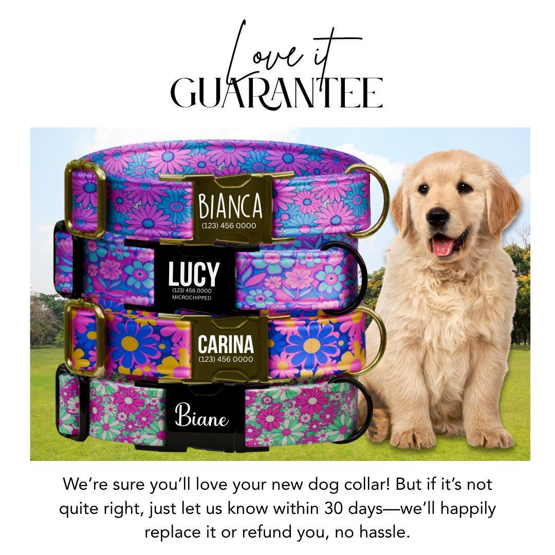 Personalized Floral Dog Collar for Girls with Name Engraved Cute Bright Flower Name ID Adjustable Collar & Leash Set Gift for Dog (OG-260)