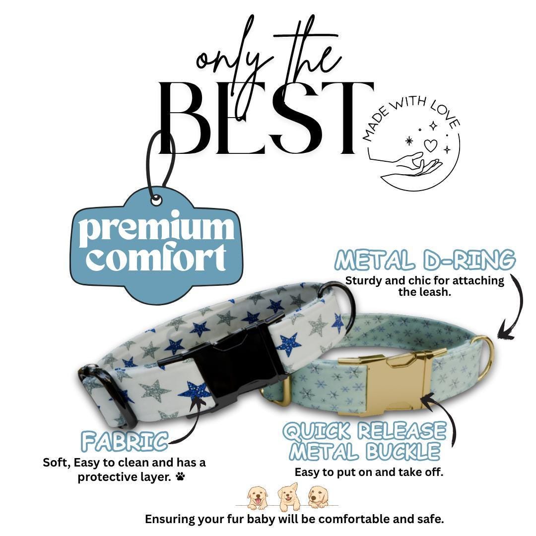 Personalized Winter Dog Collar Custom Name Tag Snowflake Holiday Dog Collar with Metal Buckle & Adjustable Fit Christmas Dog Tag (OG-285)