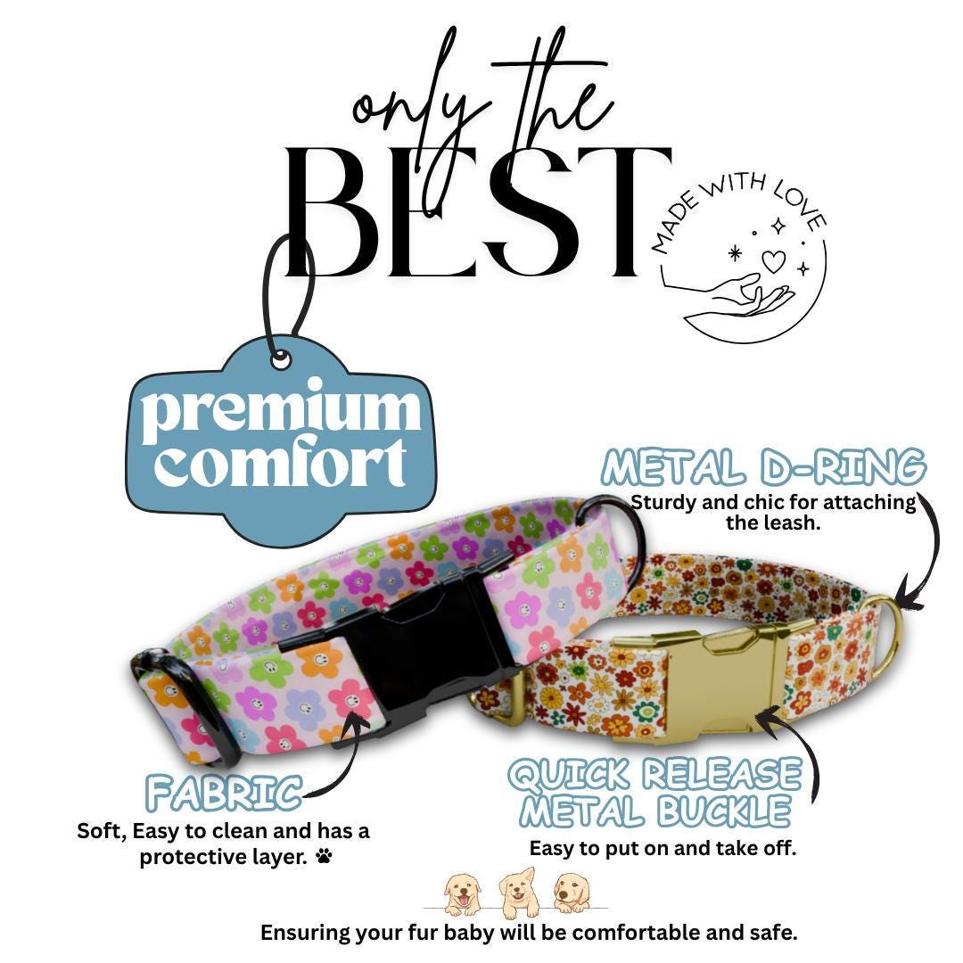 Personalized Floral Dog Collar for Girls with Name Engraved Cute Bright Flower Name ID Adjustable Collar & Leash Set Gift for Dog (OG-276)