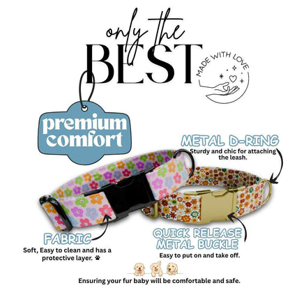 Personalized Floral Dog Collar for Girls with Name Engraved Cute Bright Flower Name ID Adjustable Collar & Leash Set Gift for Dog (OG-276)