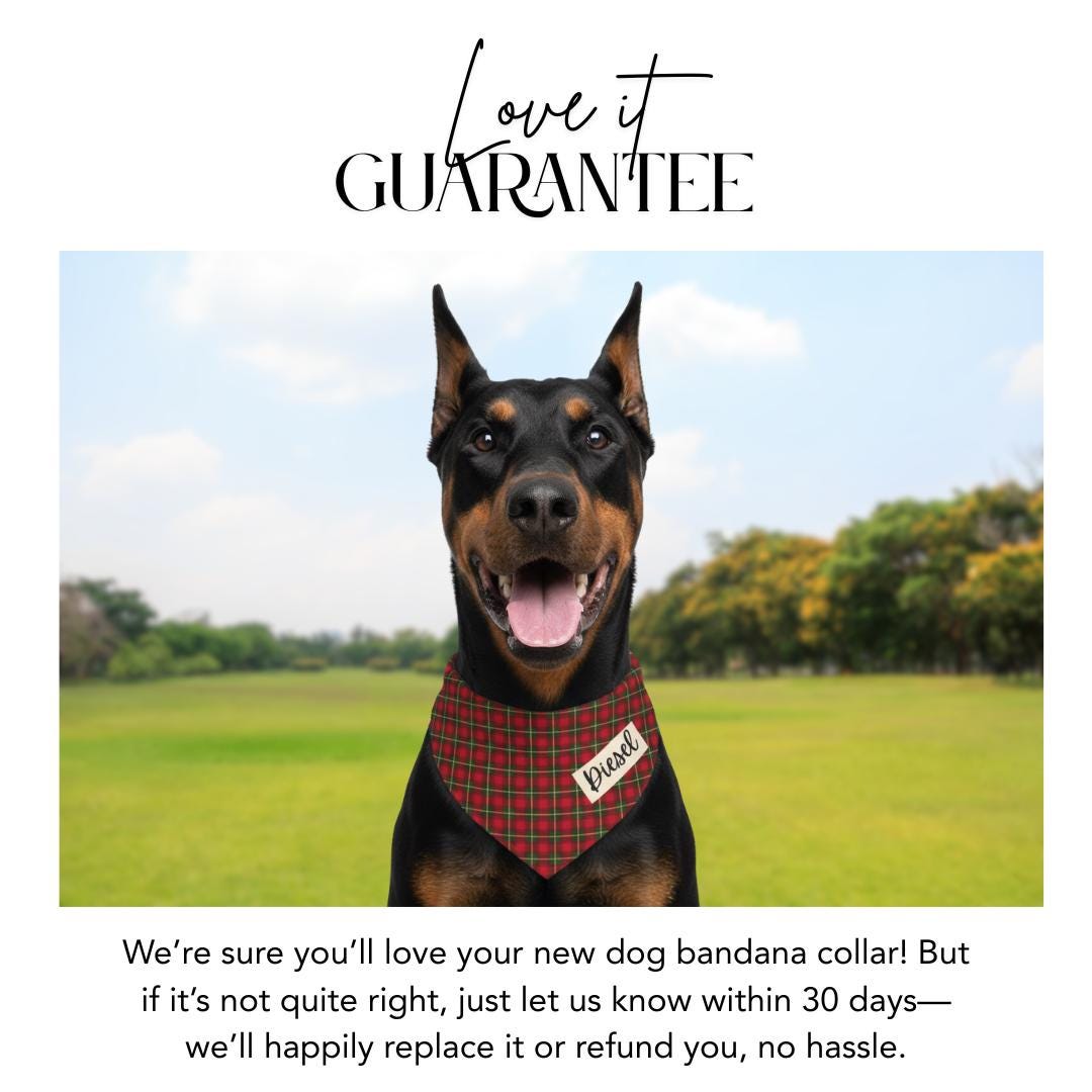 Personalized Christmas Plaid Pet Bandana Built-In Collar Custom Name Pet Scarf Adjustable Cozy Holiday Bandana Gift For Pets Holiday Photos