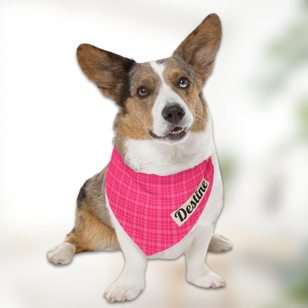 Personalized Pink Plaid Pet Bandana Collar Custom Name Dog Bandana with Built-In Adjustable Collar Soft Pet Bandana Gift for Pet Lovers