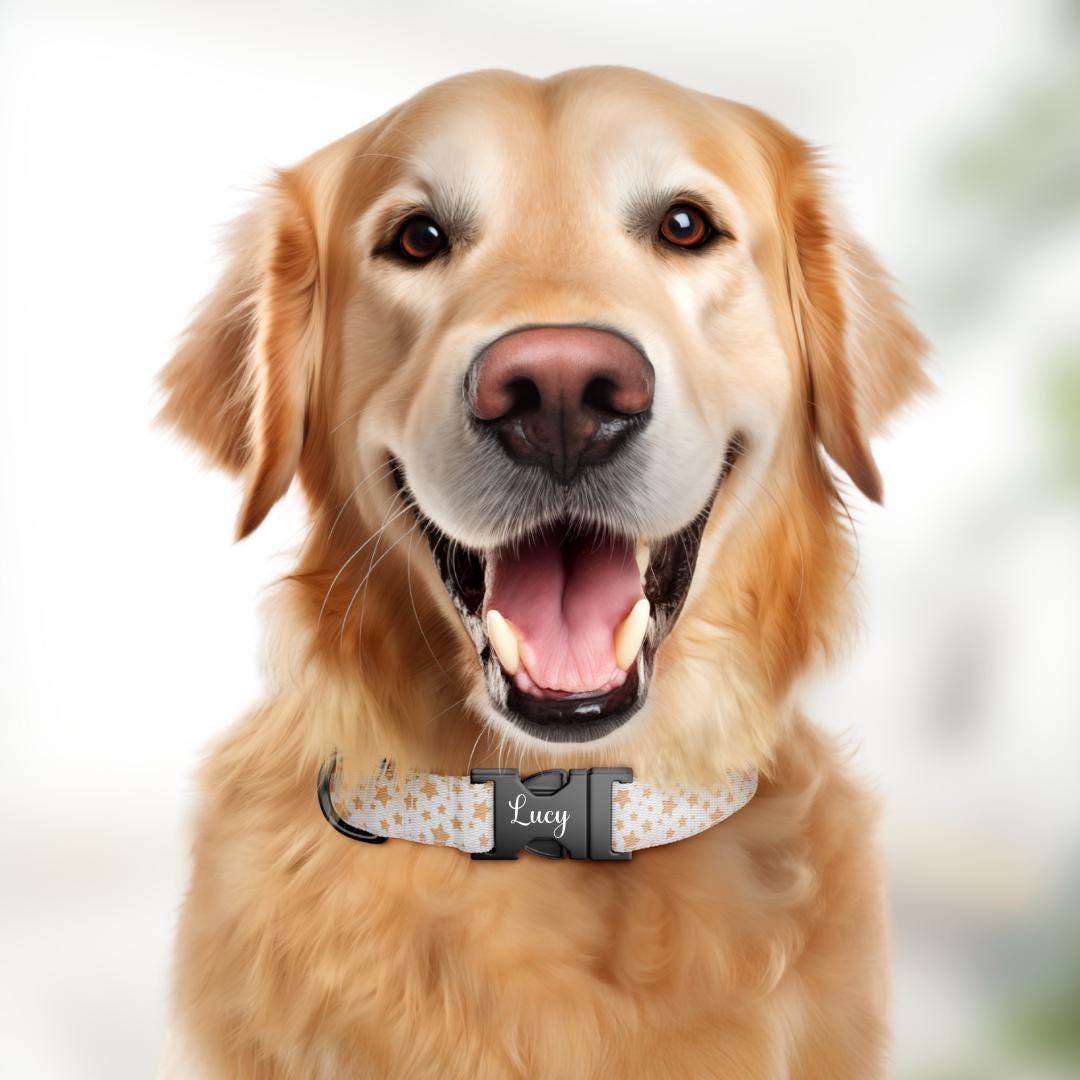 Personalized Star Dog Collar with Name Engraved Cute and Soft Adjustable Collar & Leash Set Black Gold Buckle Handmade Dog Gift (OG-147)