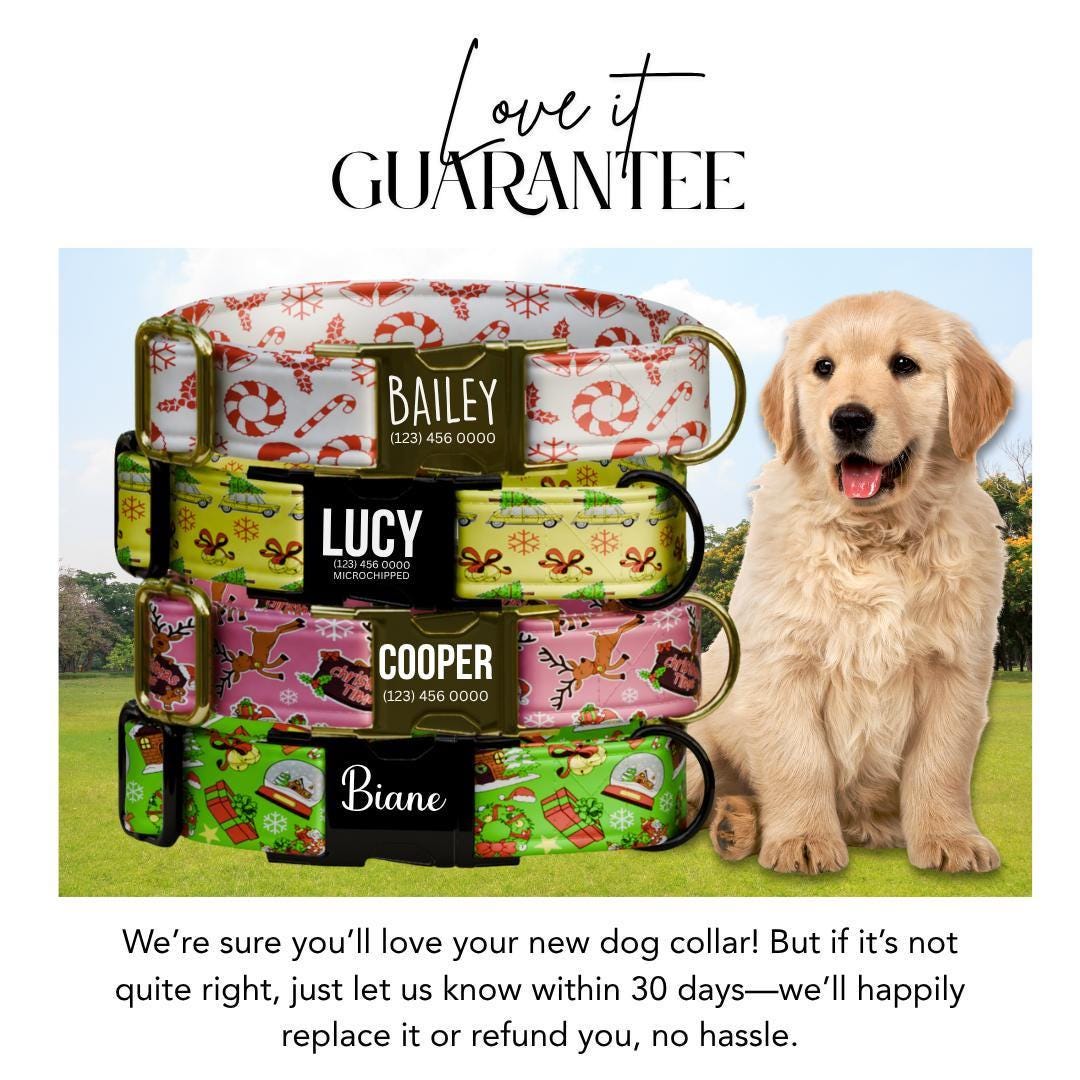 Personalized Christmas Dog Collar Custom Name Tag Festive Holiday Dog Collar with Metal Buckle & Adjustable Fit Chrismast Dog Tag (OG-240)