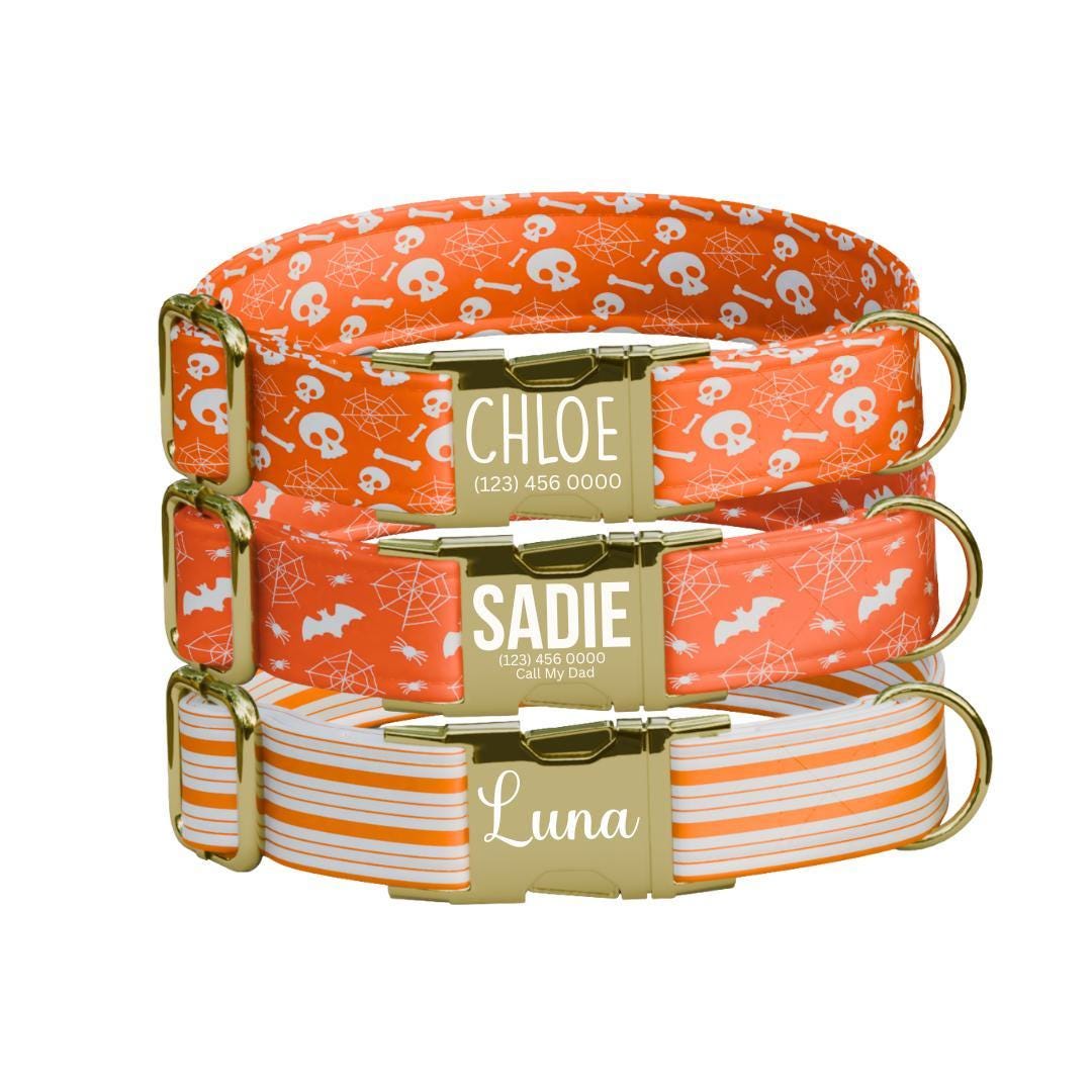 Personalized Spooky-Cute Halloween Dog Collar with Name Engraved Cute and Soft Adjustable Collar & Leash Set, Pet ID Tag Dog Gift (OG-138)