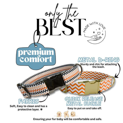 Personalized Chevron Halloween Dog Collar with Name Engraved Cute and Soft Adjustable Collar & Leash Set, Spooky ID Tag Dog Gift (OG-135)