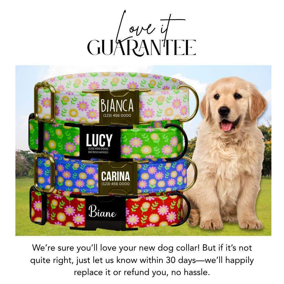 Personalized Floral Dog Collar for Girls with Name Engraved Cute Flower Pattern Name ID Adjustable Collar & Leash Set Gift for Dog (OG-202)