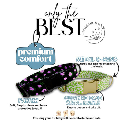 Personalized Floral Dog Collar for Girls with Name Engraved Cute and Soft Tropical Leaf Adjustable Collar & Leash Set Gift for Dog (OG-201)