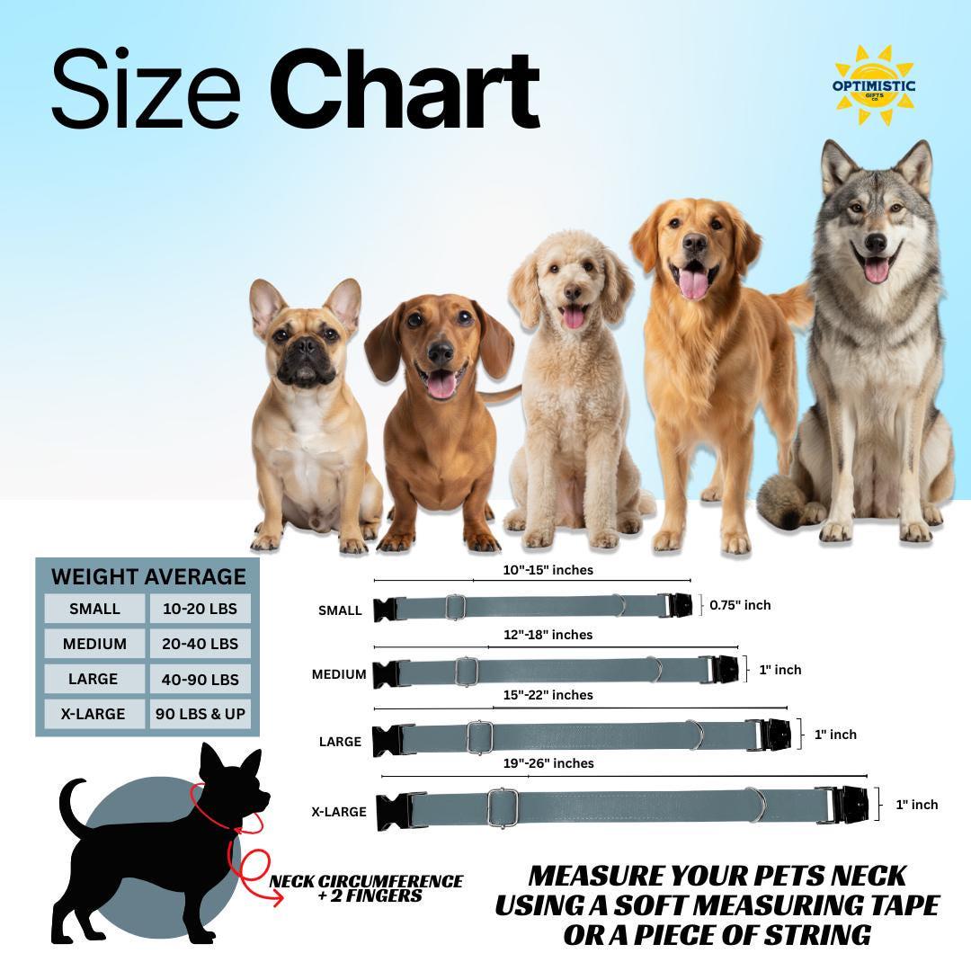 Personalized Rainbow Dog Collar with Name Engraved Custom Name Dog Tag Fun Prints Durable Metal Buckle & D-Ring Cute Gift for Dogs (OG-264)