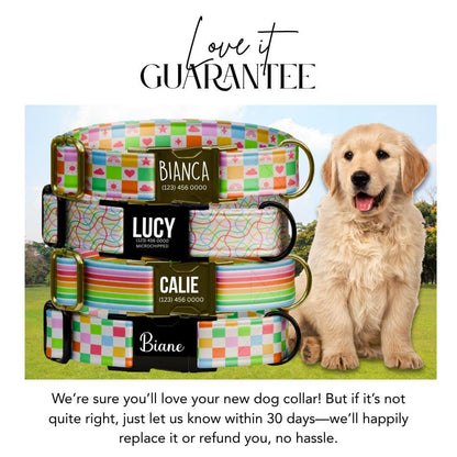 Personalized Rainbow Dog Collar with Name Engraved Custom Name Dog Tag Fun Prints Durable Metal Buckle & D-Ring Cute Gift for Dogs (OG-264)