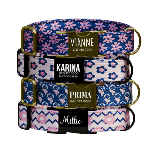 Personalized Floral Dog Collar for Girls with Name Engraved Cute Bright Flower Name ID Adjustable Collar & Leash Set Gift for Dog (OG-255)