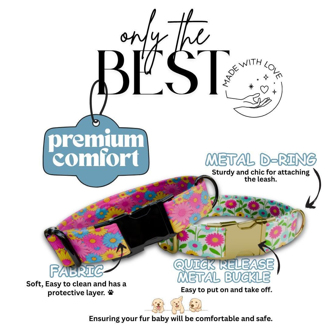 Personalized Color Bloom Dog Collar for Girls with Name Engraved Spring Flower Name ID Adjustable Collar & Leash Set Gift for Dog (OG-256)