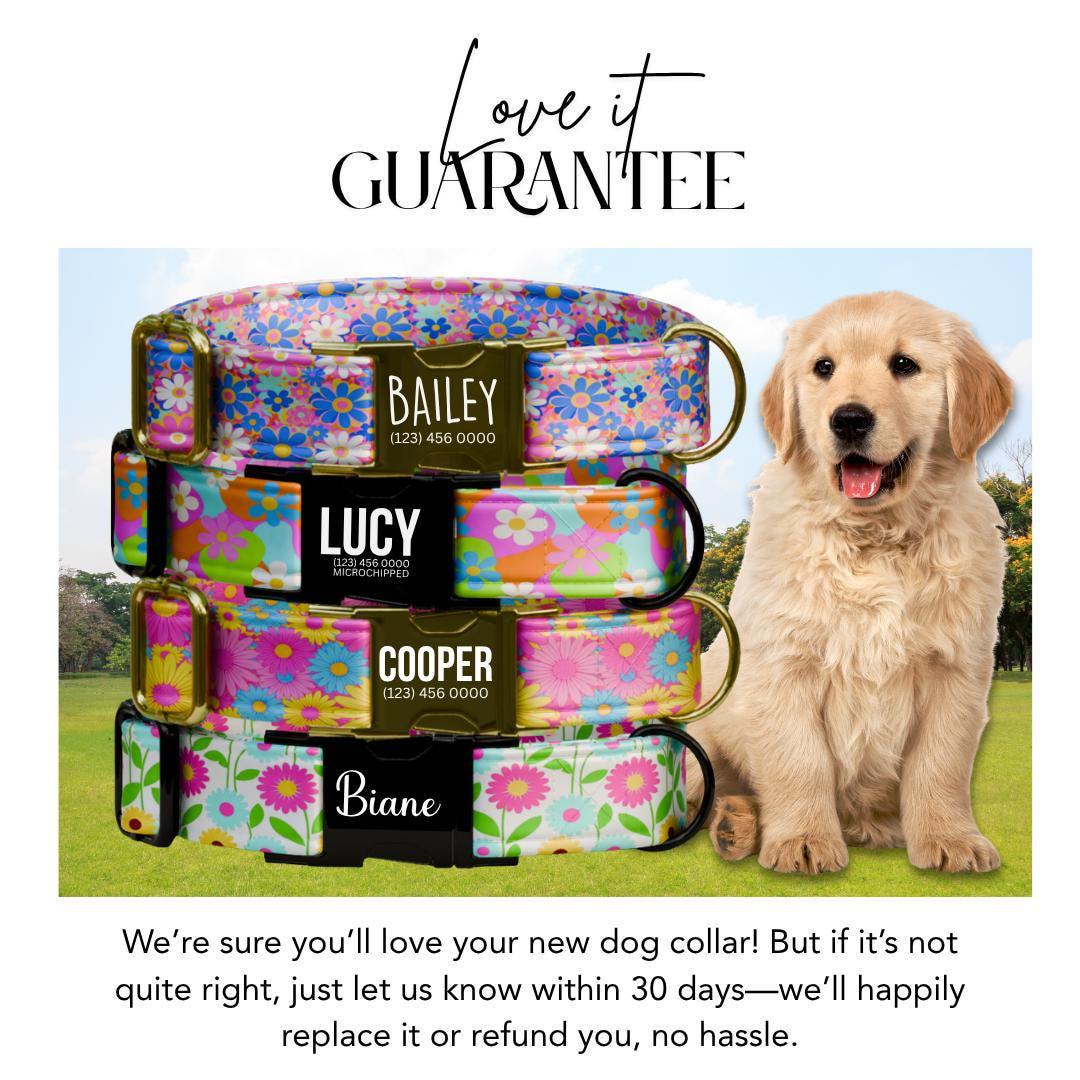 Personalized Color Bloom Dog Collar for Girls with Name Engraved Spring Flower Name ID Adjustable Collar & Leash Set Gift for Dog (OG-256)