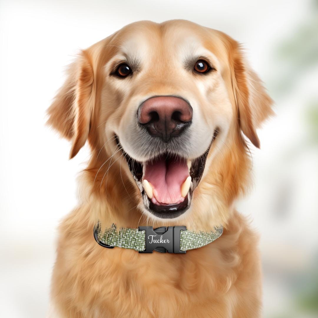 Personalized Green Dog Collar with Name Engraved Modern Nature-Inspired ID Adjustable Collar & Leash Set Trendy Green Gift for Dogs (OG-252)