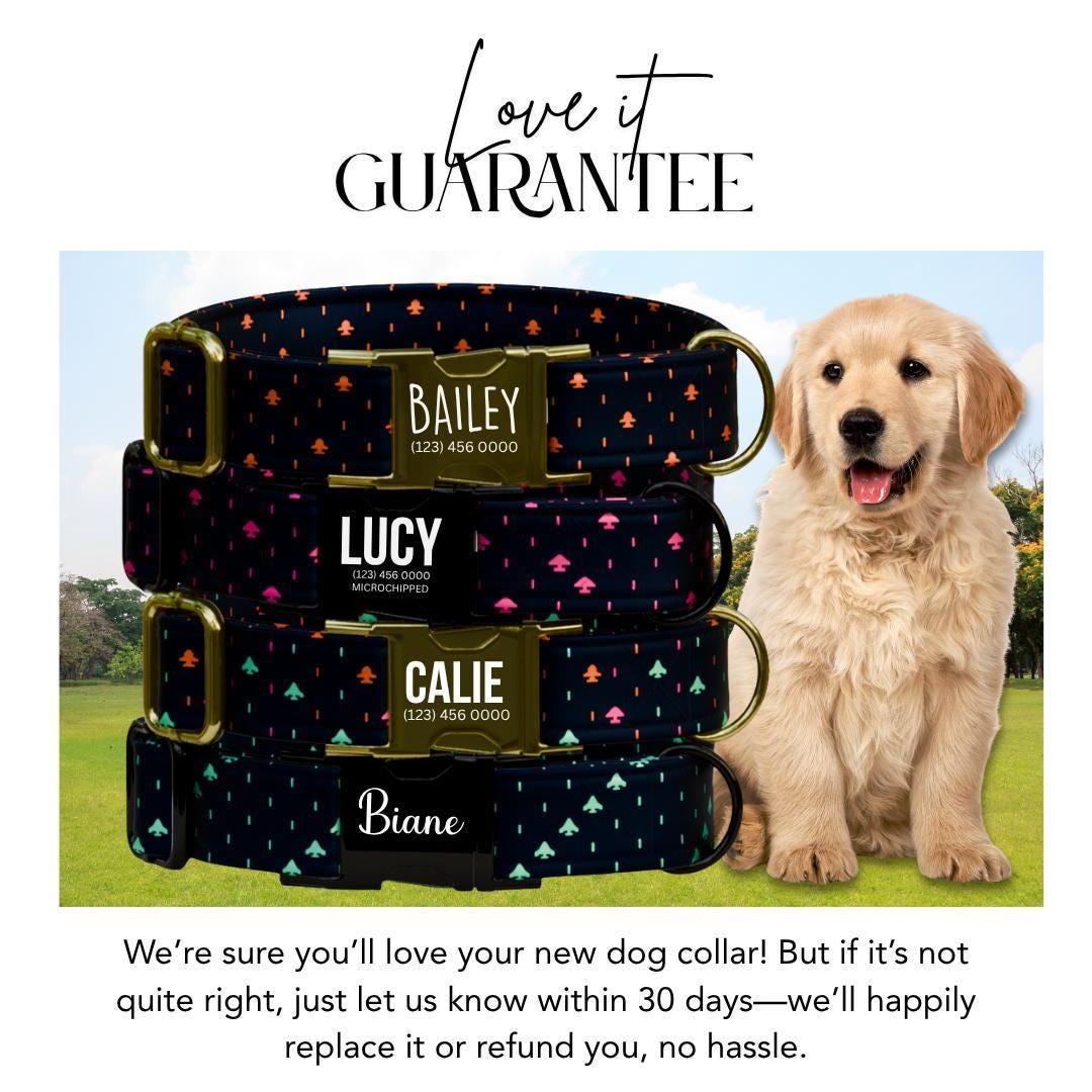 Personalized Retro Dog Collar Custom Name ID Tag Space Arcade-Inspired Design Adjustable Quick Release Collar Perfect Gift for Dogs (OG-248)