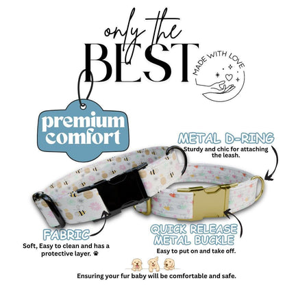 Personalized Dog Collar Sweet Hive Design with Name Engraved Custom Name Tag Bee Dog Tag Adjustable Collar & Leash Set Gift for Dog (OG-218)