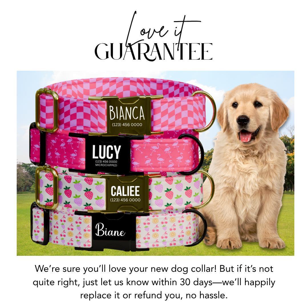 Personalized Pink Pattern Dog Collar for Girls with Name Engraved Cute and Soft Fruit Adjustable Collar & Leash Set Pink Dog Gift (OG-199)