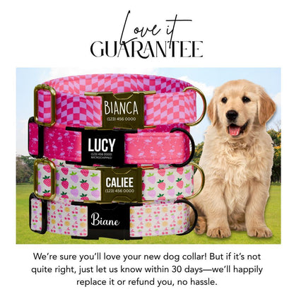 Personalized Pink Pattern Dog Collar for Girls with Name Engraved Cute and Soft Fruit Adjustable Collar & Leash Set Pink Dog Gift (OG-199)