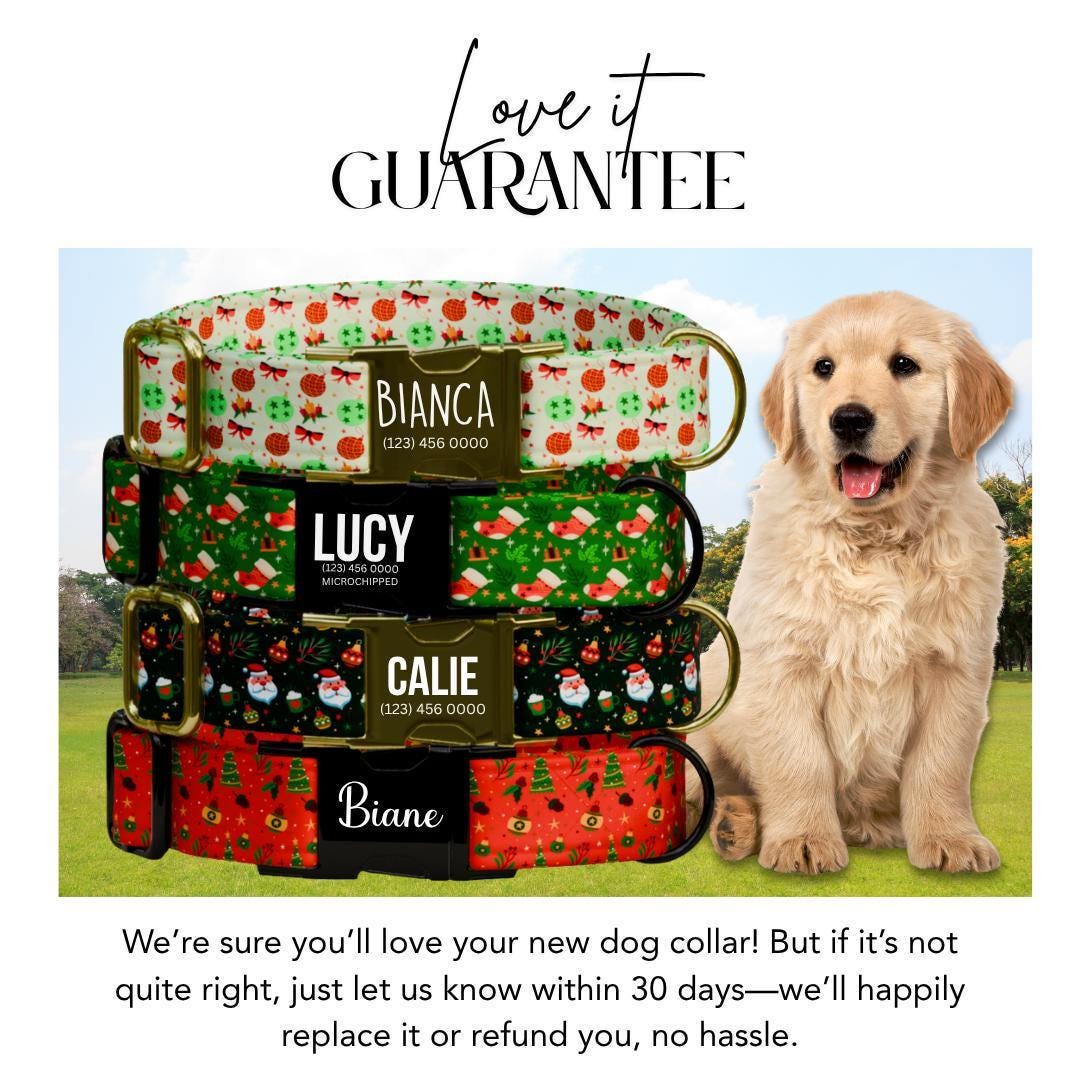 Personalized Christmas Dog Collar Custom Name Tag & Metal Buckle Festive Holiday Pet Collar for Dogs Christmas Leash Gift for Dogs (OG-234)
