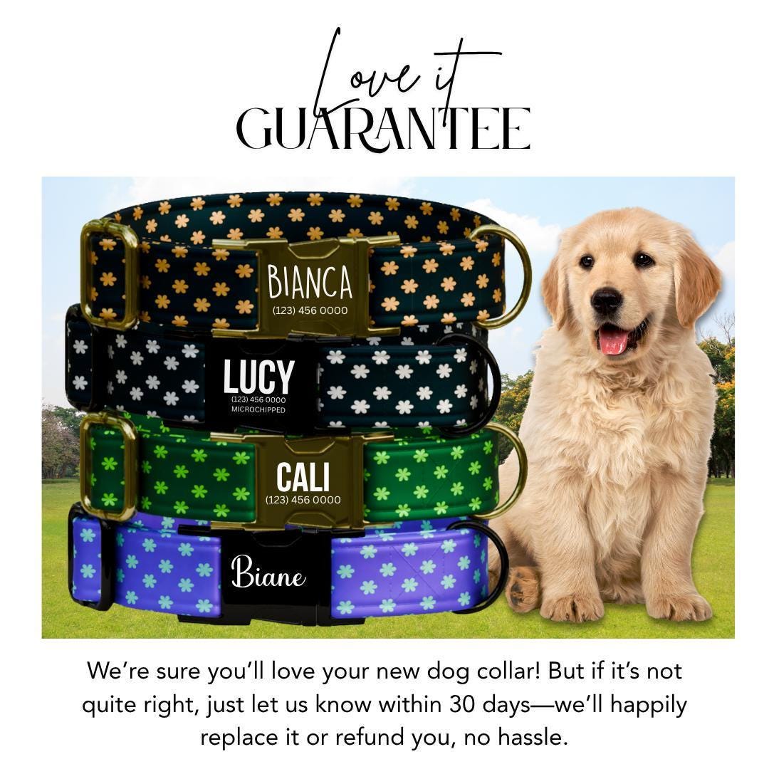 Personalized Daisy Dog Collar for Girls with Name Engraved Cute Flower Print Tag Collar Dogs Adjustable Collar & Leash Set Dog Gift (OG-273)