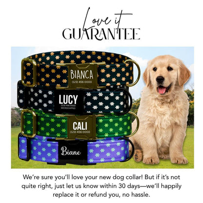 Personalized Daisy Dog Collar for Girls with Name Engraved Cute Flower Print Tag Collar Dogs Adjustable Collar & Leash Set Dog Gift (OG-273)