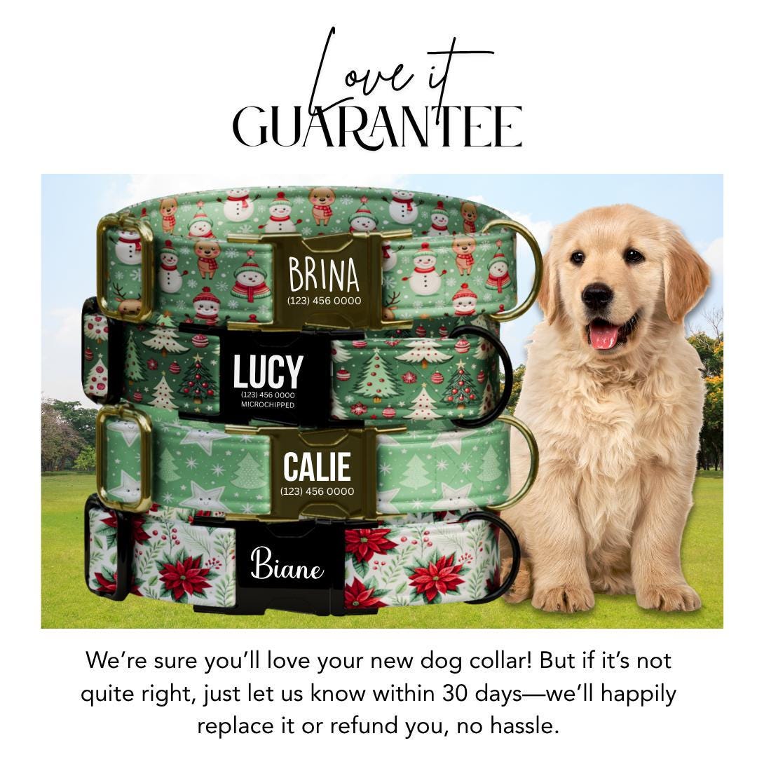 Personalized Christmas Dog Collar Custom Name Tag Festive Holiday Dog Collar with Metal Buckle & Adjustable Fit Christmas Dog Tag (OG-280)