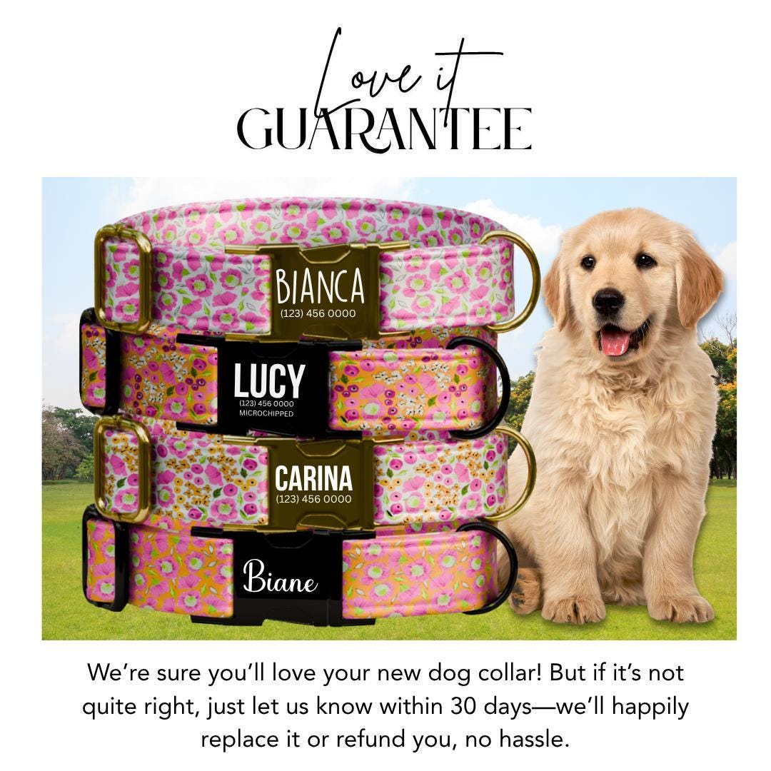 Personalized Floral Dog Collar for Girls with Name Engraved Cute Bright Flower Name ID Adjustable Collar & Leash Set Gift for Dog (OG-251)