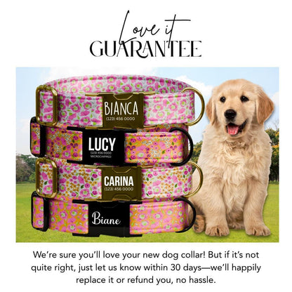 Personalized Floral Dog Collar for Girls with Name Engraved Cute Bright Flower Name ID Adjustable Collar & Leash Set Gift for Dog (OG-251)